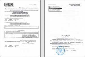 Регистрационные документы ИП из другого региона РФ