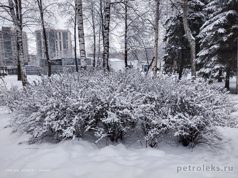 Санкт - Петербург, 05.03.2023 - снег у Московского проспекта